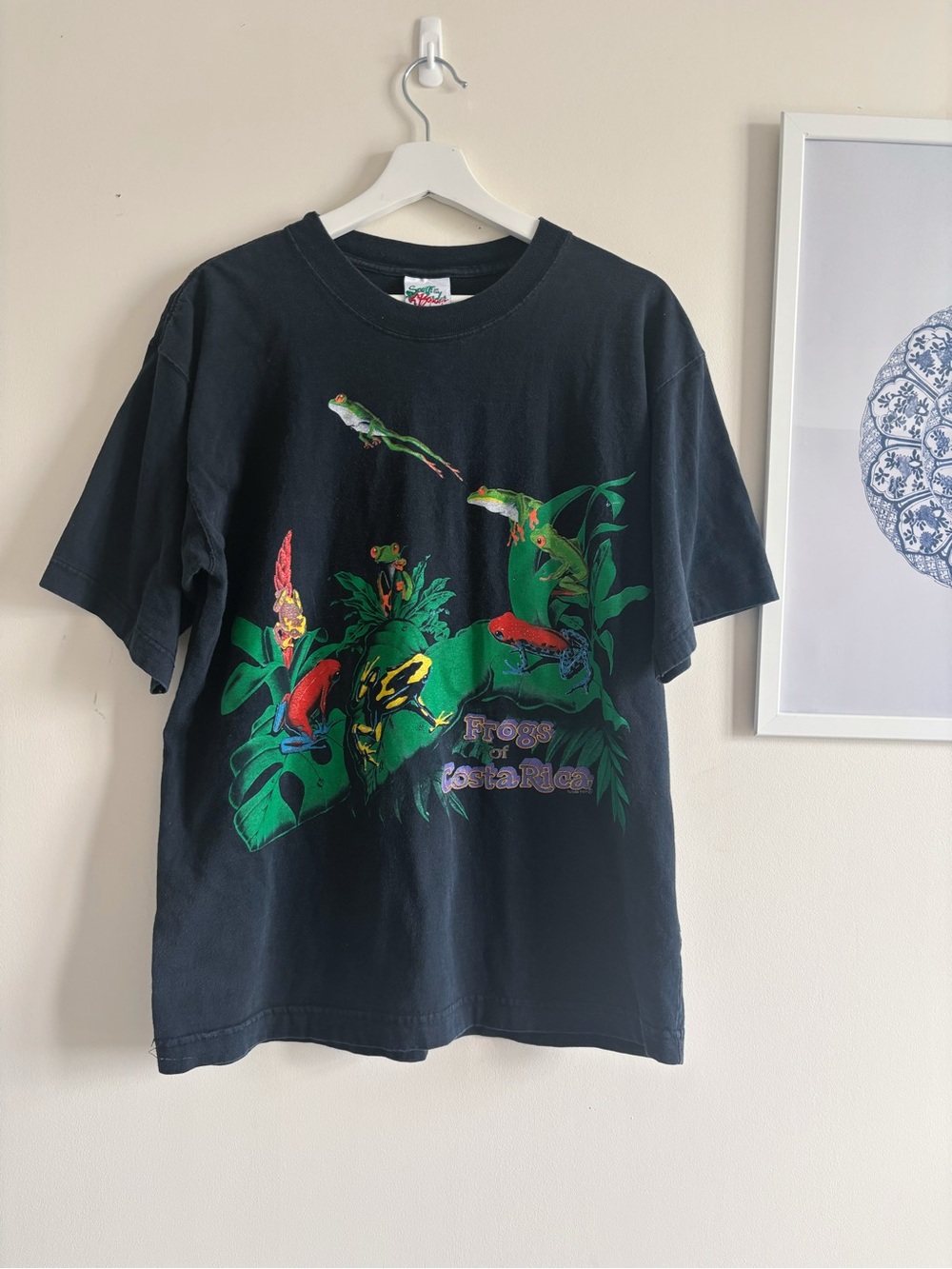 Vintage Frogs of Costa Rica T-Shirt 90s Mens L Rainforest Graphic Streetwear Tee